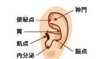 瘦身|摸摸耳朵就能減肥，新技能get 健康 第4張