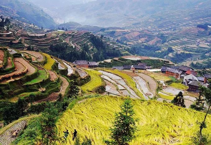 跟著《水果傳》去旅行？盤點那些可以大吃水果的甜蜜旅行地！ 旅行 第19張