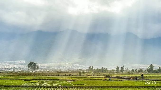 跟著《水果傳》去旅行？盤點那些可以大吃水果的甜蜜旅行地！ 旅行 第23張