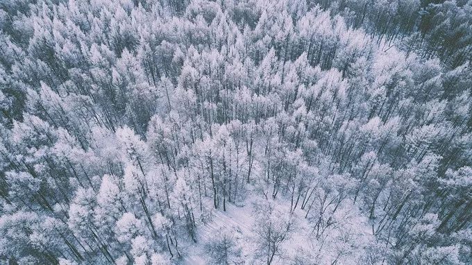 玩雪勝地大盤點 | 你等的雪還沒來？不如主動去找它～ 旅遊 第26張