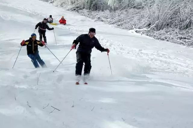 玩雪勝地大盤點 | 你等的雪還沒來？不如主動去找它～ 旅遊 第37張