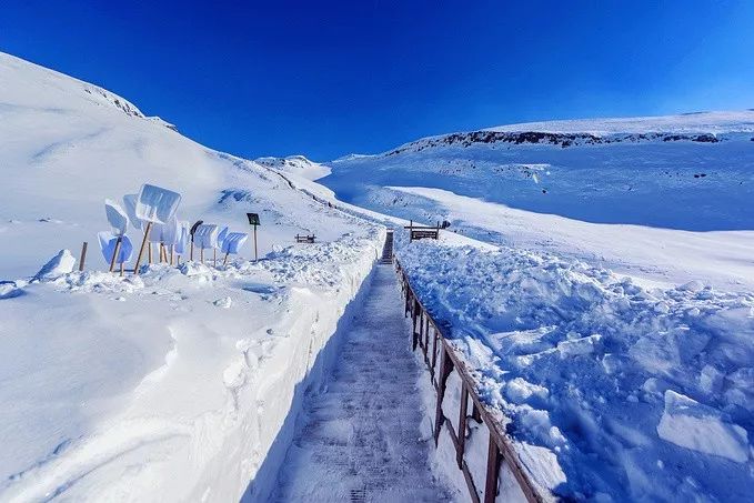 玩雪勝地大盤點 | 你等的雪還沒來？不如主動去找它～ 旅遊 第20張