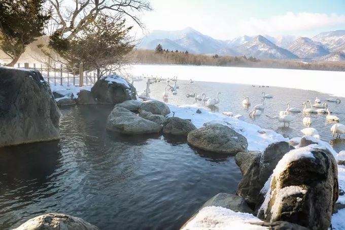 玩雪勝地大盤點 | 你等的雪還沒來？不如主動去找它～ 旅遊 第45張