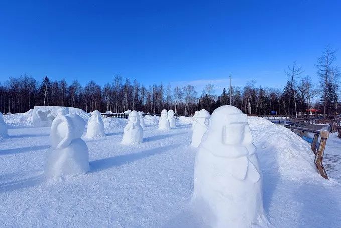 玩雪勝地大盤點 | 你等的雪還沒來？不如主動去找它～ 旅遊 第5張