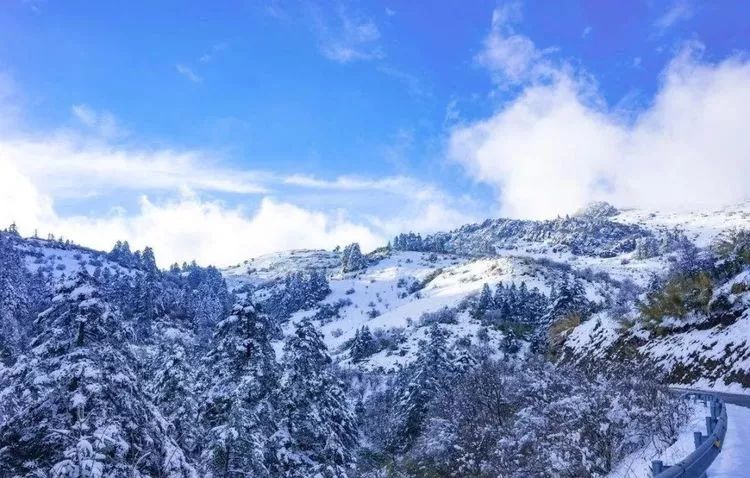 玩雪勝地大盤點 | 你等的雪還沒來？不如主動去找它～ 旅遊 第36張