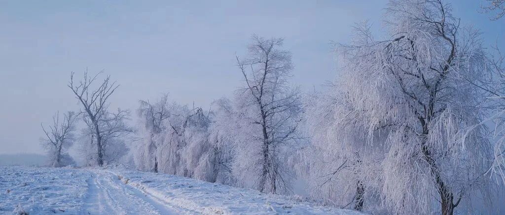 最佳雾凇观赏地都帮你总结好啦！一起去欣赏冬季奇观吧~