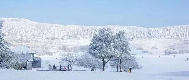 川渝冬季的宝藏仙境~一点也不输给北方！