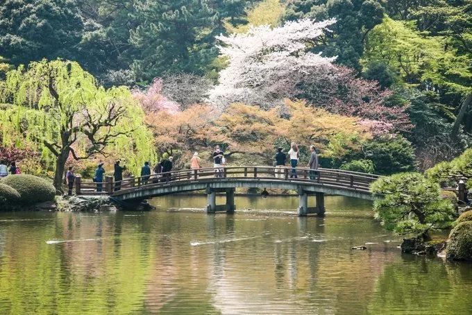 前方粉紅預警！2019日本最火賞櫻地深度盤點，春季賞櫻看這兒就夠了！ 未分類 第11張