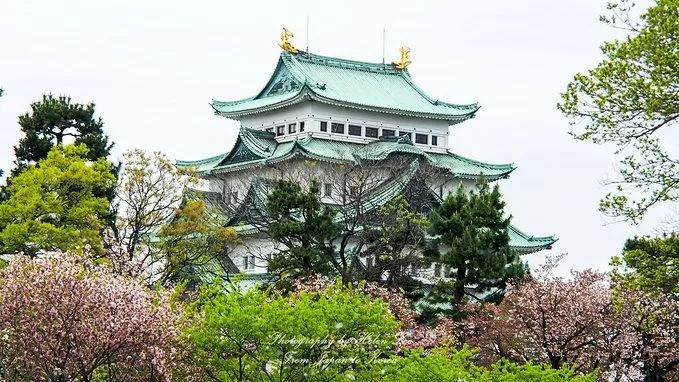 前方粉紅預警！2019日本最火賞櫻地深度盤點，春季賞櫻看這兒就夠了！ 旅遊 第46張