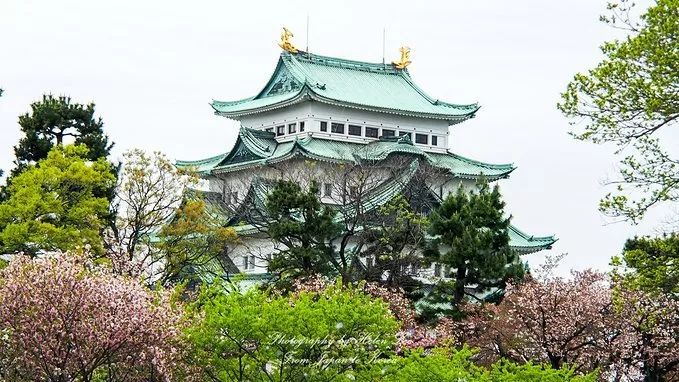 前方粉紅預警！2019日本最火賞櫻地深度盤點，春季賞櫻看這兒就夠了！ 未分類 第46張