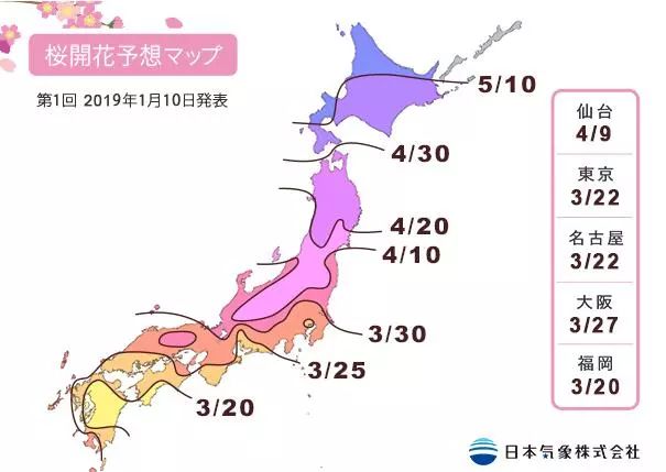 前方粉紅預警！2019日本最火賞櫻地深度盤點，春季賞櫻看這兒就夠了！ 未分類 第2張