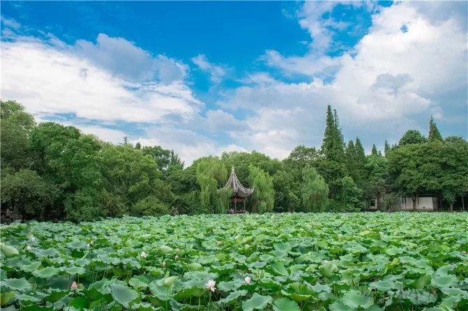 這個距離上海2h的水鄉古鎮，如此低調，卻藏著這麼多世界級豪宅！ 旅行 第12張