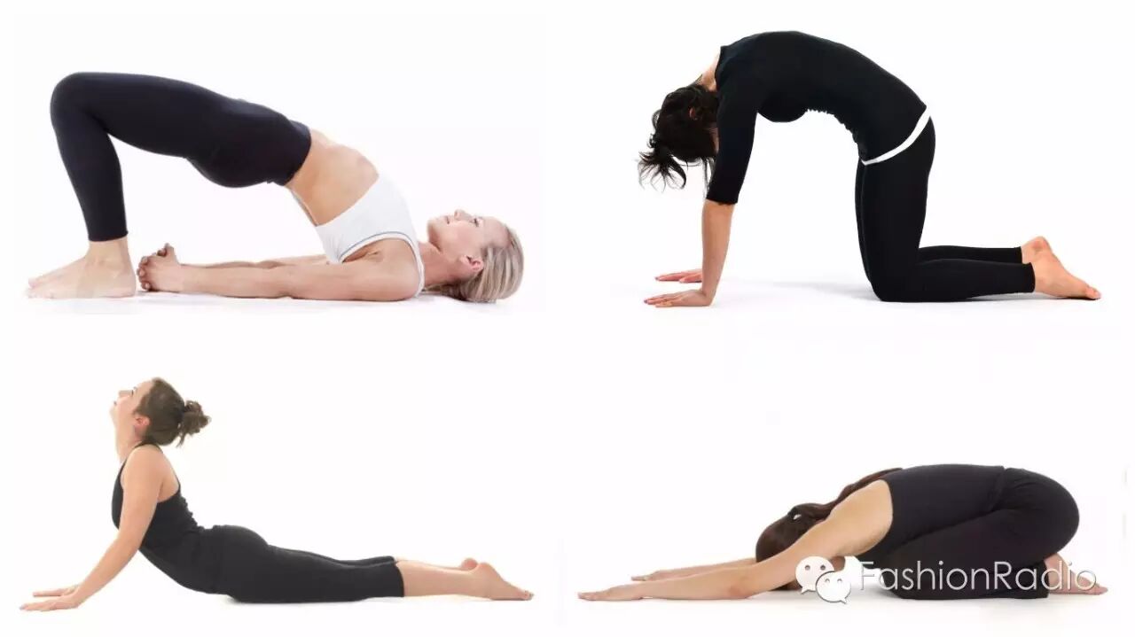 运动方案: 放松背部肌肉