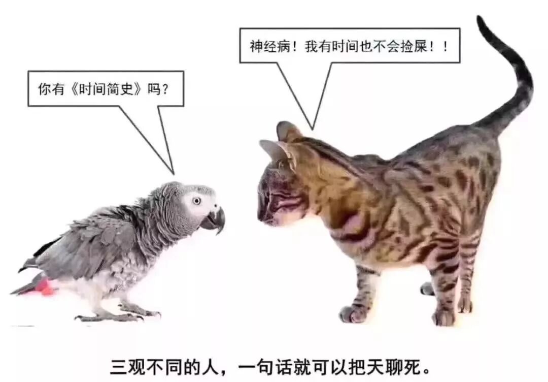 



猪肉股、消费股、科技股，隔壁老王今年都没买。
