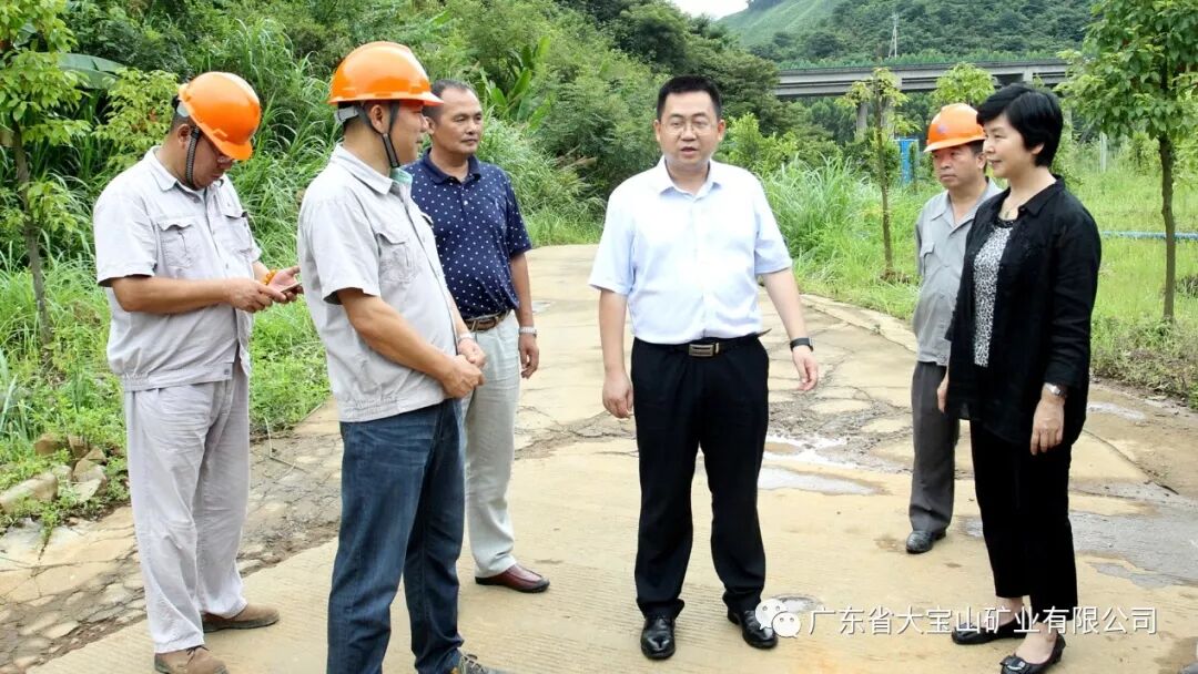 广东省环保厅副厅长陈金銮到大宝山矿开展调研活动视察我司新山片区
