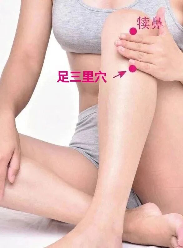 足三里穴