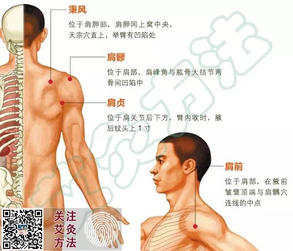 每日一课 对症下灸 肩周炎 艾灸方法 微信公众号文章阅读 Wemp
