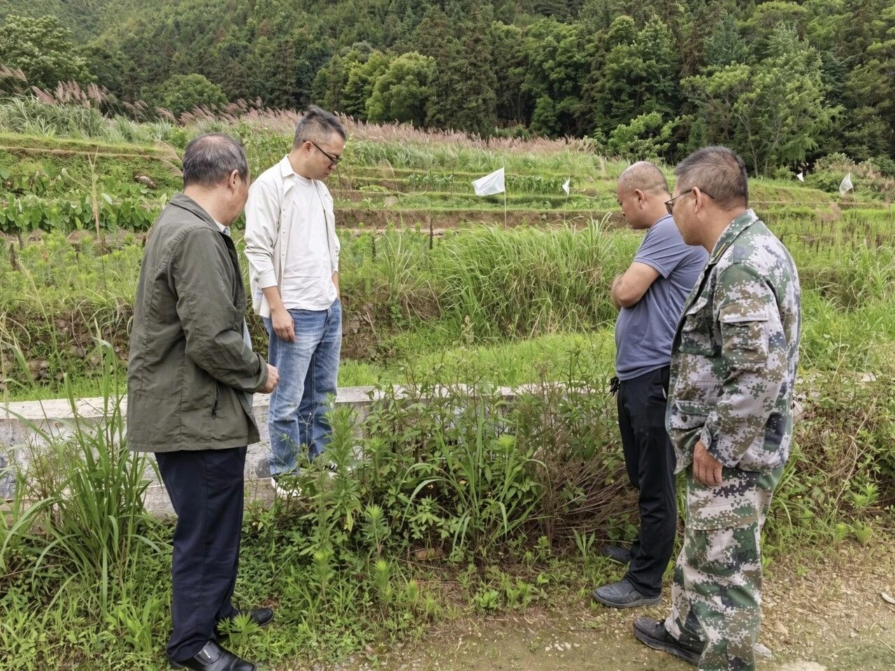 护绿、守水、赶订单……郴州这群人忙不停