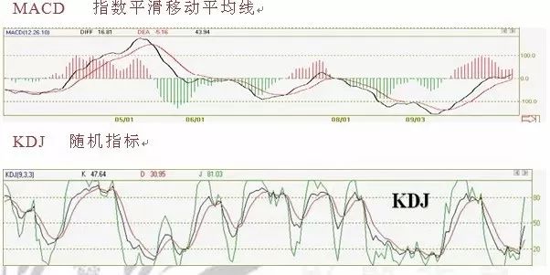 640?wx_fmt=jpeg&tp=webp&wxfrom=5&wx_lazy=1&wx_co=1