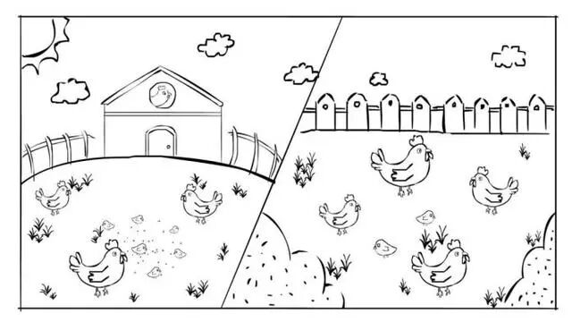 一个故事看懂什么是股权投资