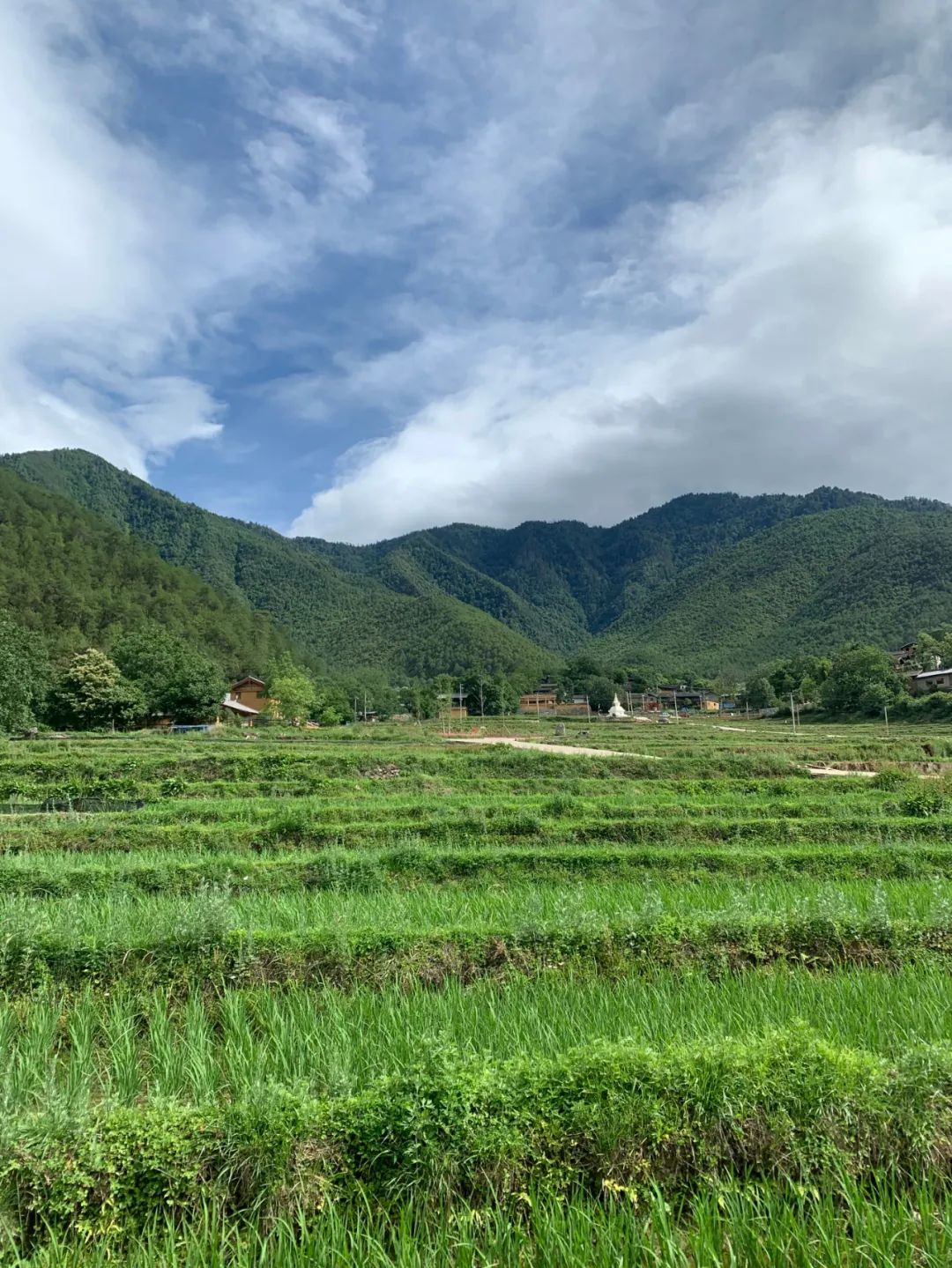 雲南｜如果今年只能來一次，走這條路線就對了！ 旅遊 第26張