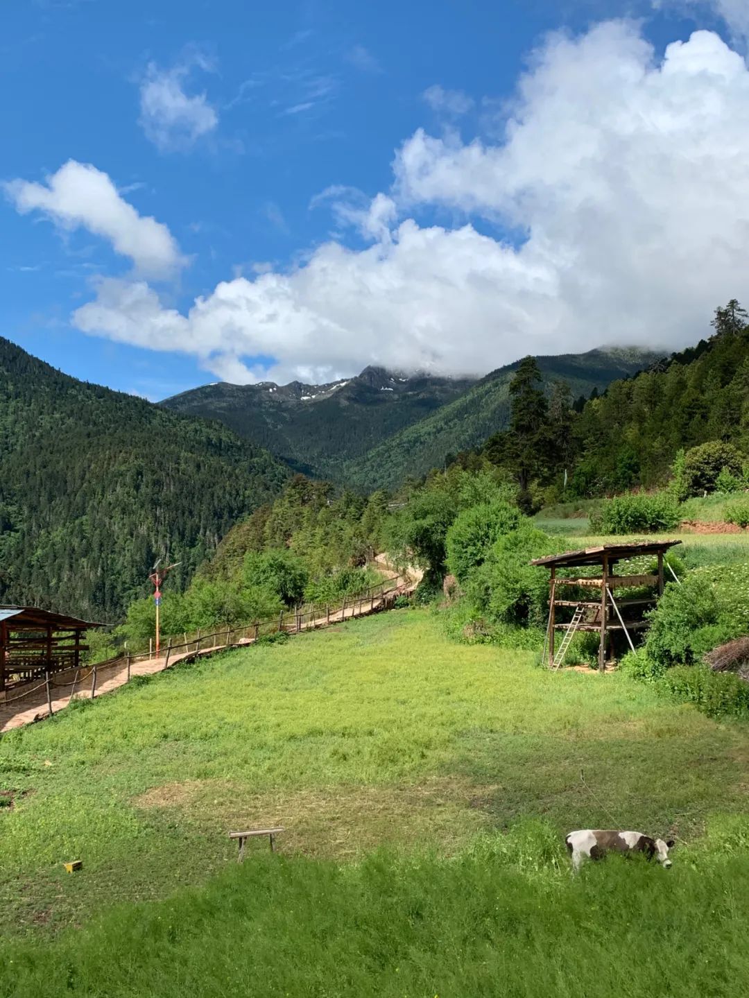 雲南｜如果今年只能來一次，走這條路線就對了！ 旅遊 第50張