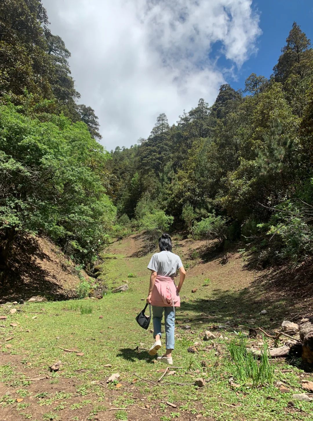 雲南｜如果今年只能來一次，走這條路線就對了！ 旅遊 第53張