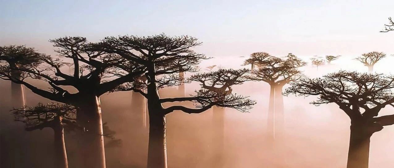 Bucket List｜如果可以远行，我最想去的目的地是……