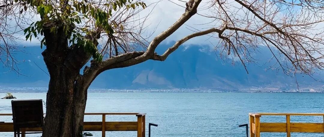 读者征集｜云看四方最美风景～