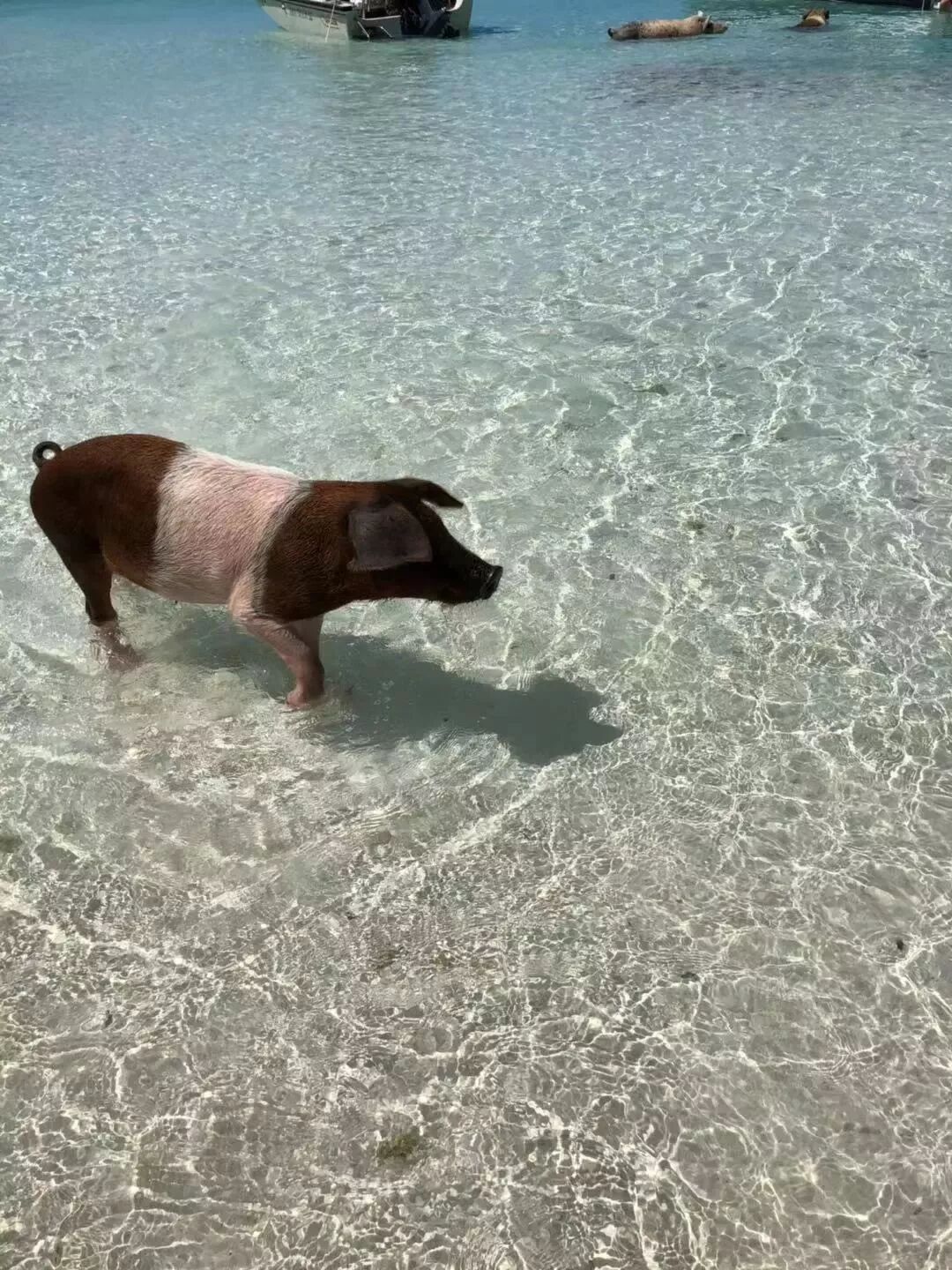 讀者征集｜這些年，我們一起看過的風景～ 歷史 第13張