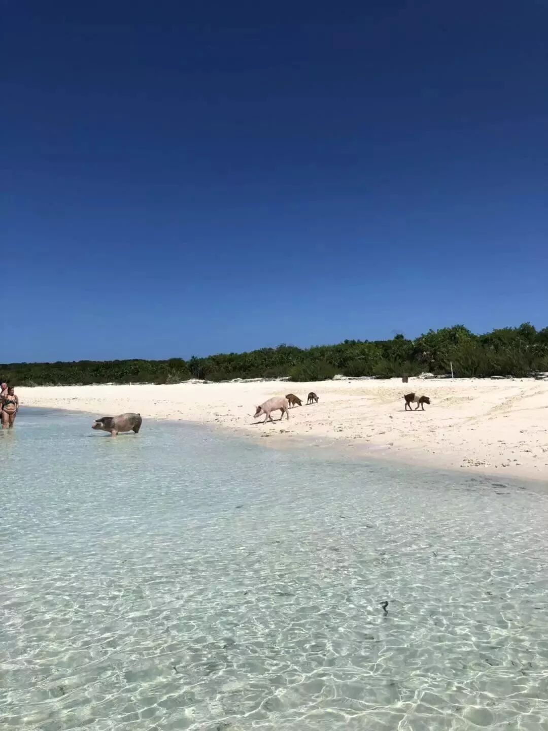 讀者征集｜這些年，我們一起看過的風景～ 歷史 第12張