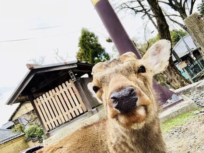 讀者征集｜這些年，我們一起看過的風景～ 歷史 第22張