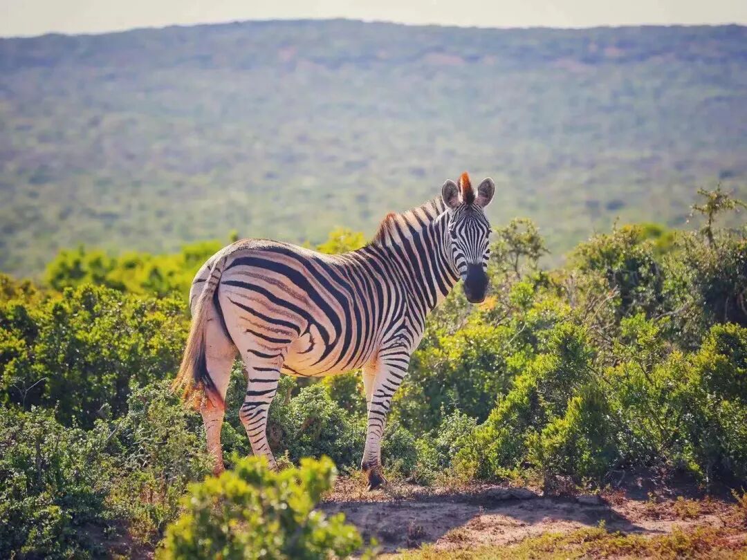 讀者征集｜這些年，我們一起看過的風景～ 歷史 第28張