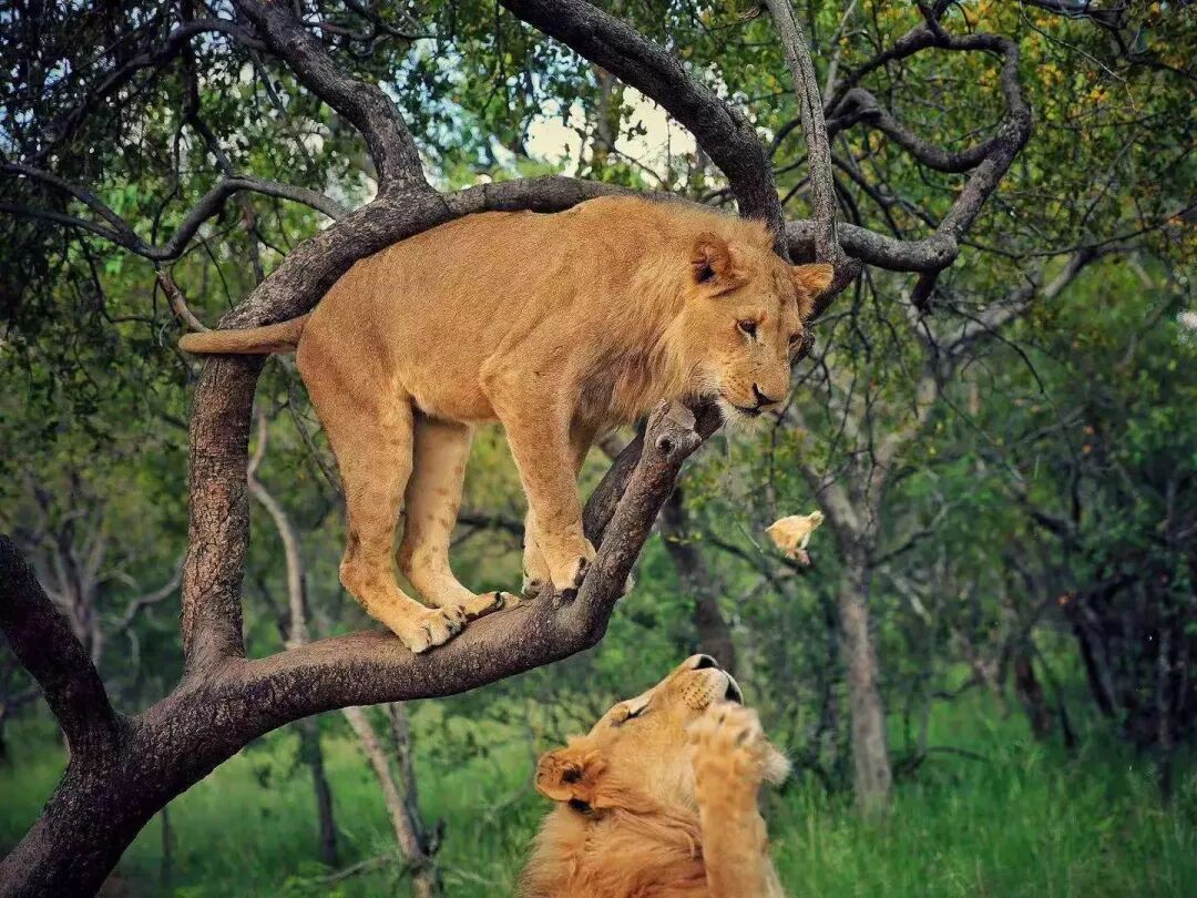 讀者征集｜這些年，我們一起看過的風景～ 歷史 第27張