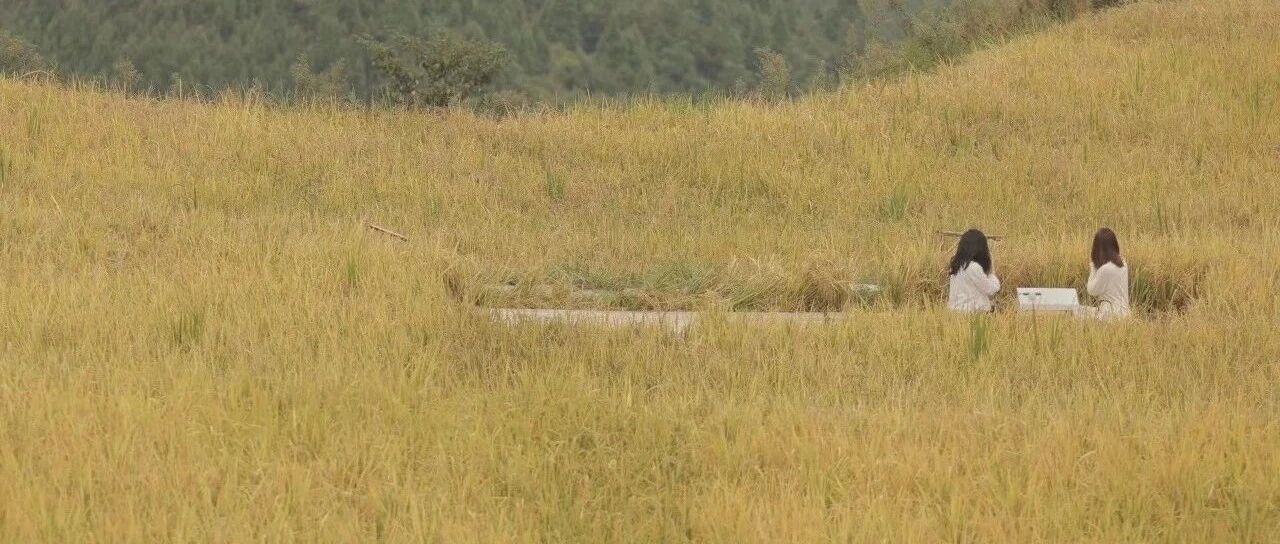 征集｜步履不停，最美的风景都在你们的镜头里！