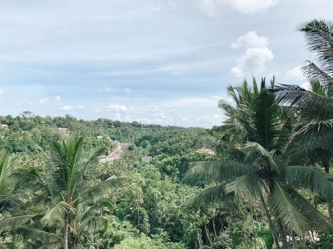 巴厘島 | Ubud最值得打卡的幾間店都在這了～ 旅遊 第17張