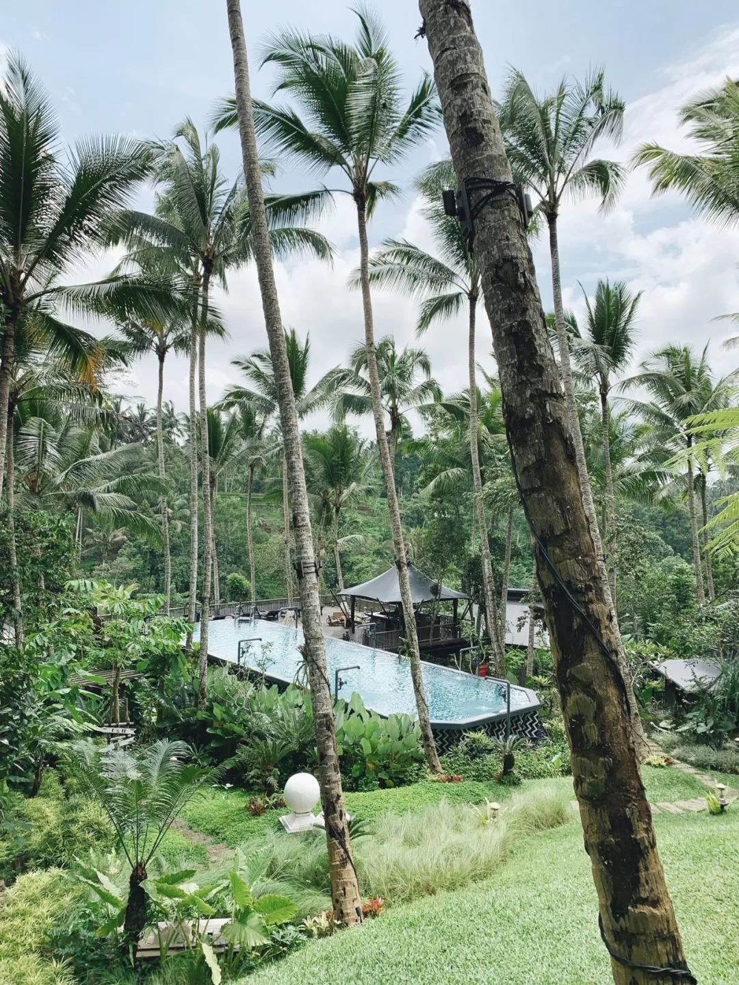 巴厘島 | Ubud最值得打卡的幾間店都在這了～ 旅遊 第20張