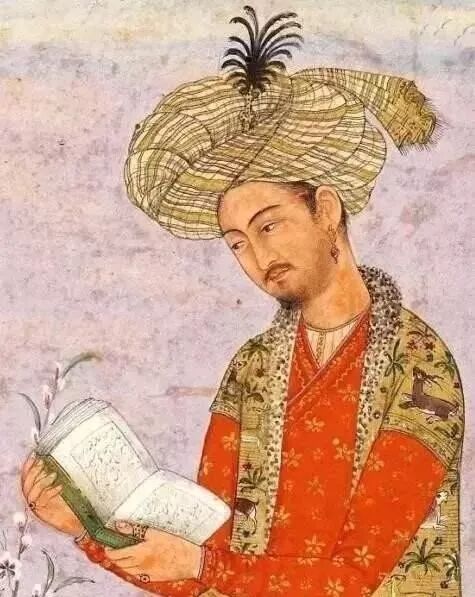 为何莫卧儿帝国子孙失去蒙古人的相貌 全网搜