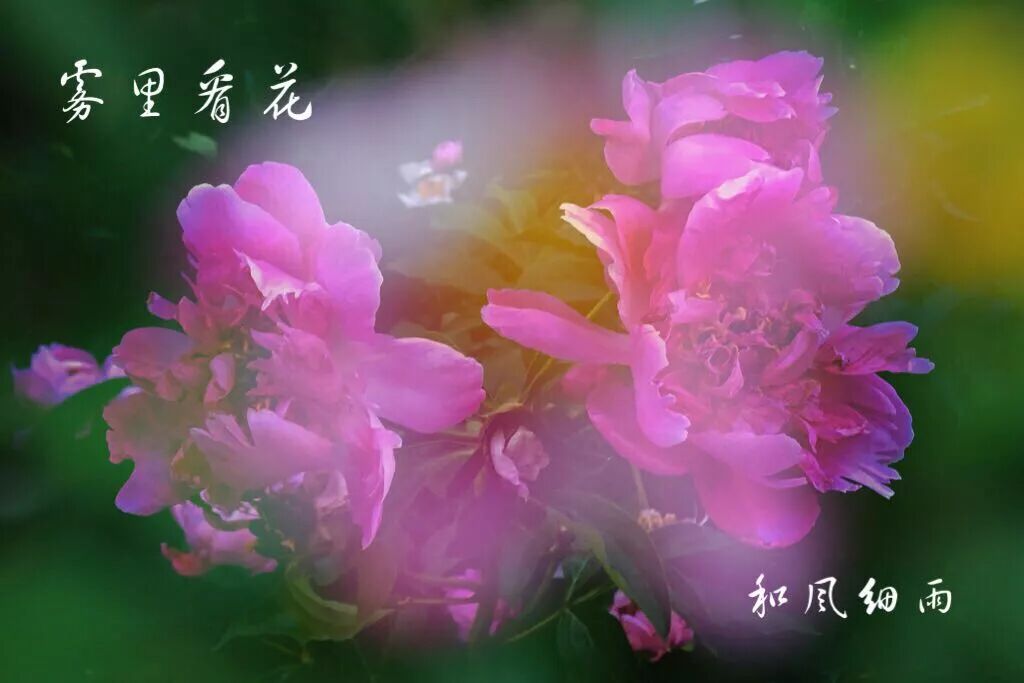 「最美巴林」巴林右旗优秀摄影名家作品选登