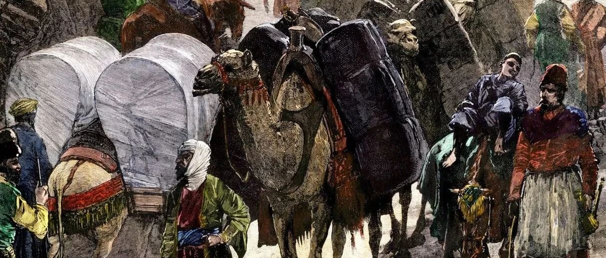 cover_image