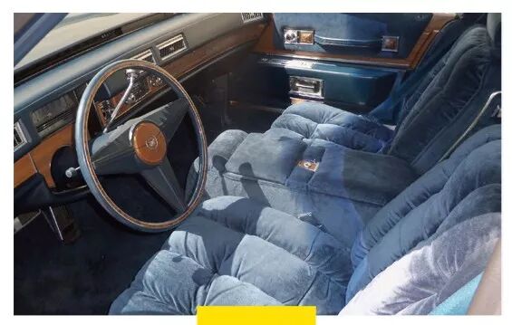 ������Щ����֯������֮����ᷢ��Ƥ����û�����Ķ�����