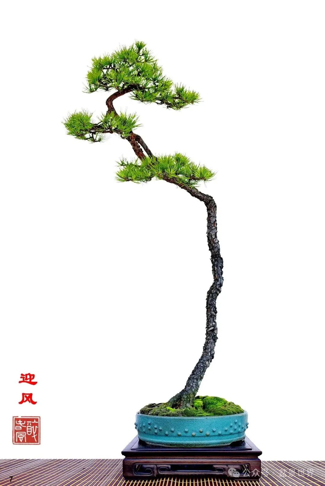 图片