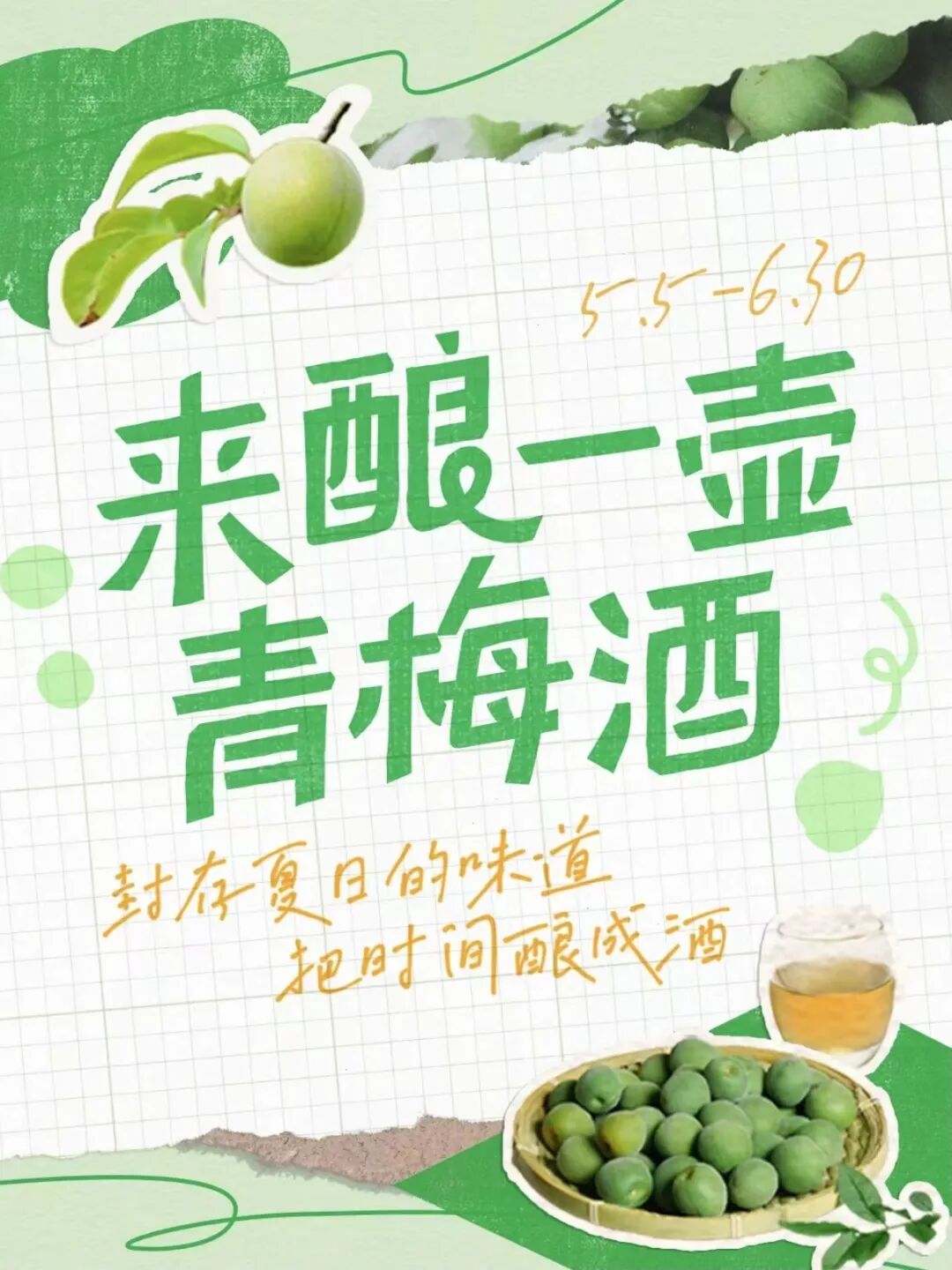 继刺梨 芭乐之后 青梅 会成为下一个小众出圈水果吗 南方彩票