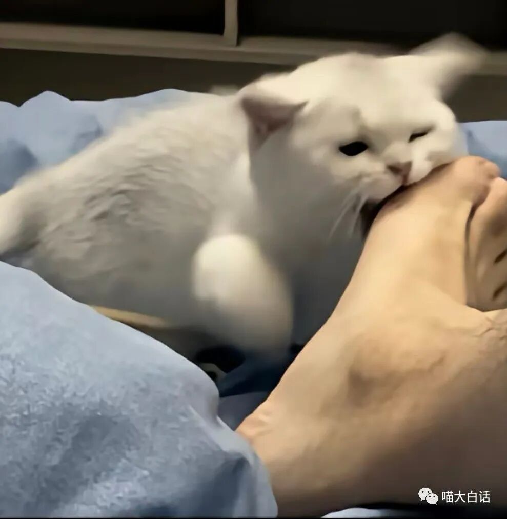 【爆笑】“网友为了嗑cp能有多离谱？？”哈哈哈哈哈哈哈活雷锋了属实是！（组图） - 25