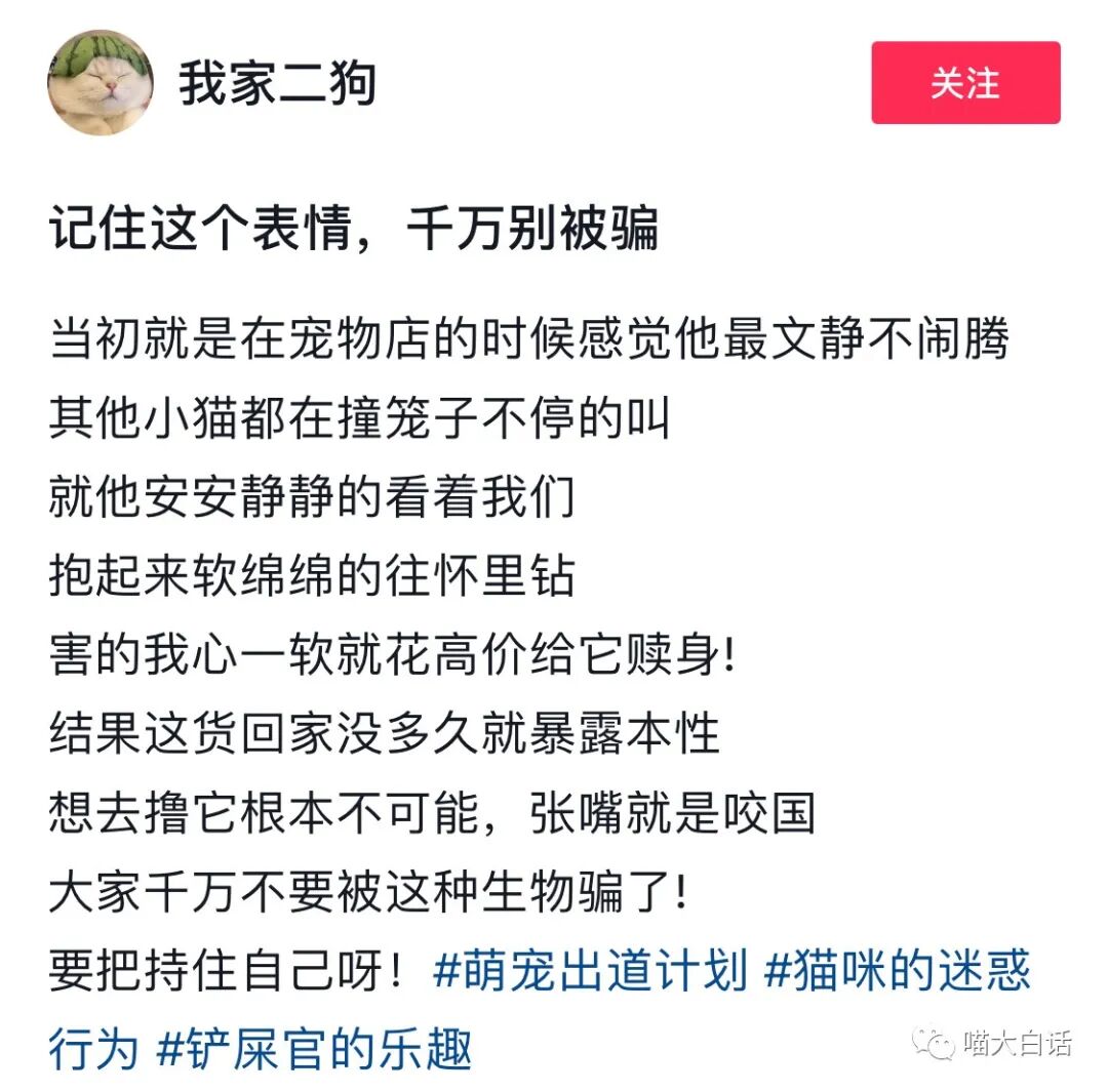 【爆笑】“网友为了嗑cp能有多离谱？？”哈哈哈哈哈哈哈活雷锋了属实是！（组图） - 20