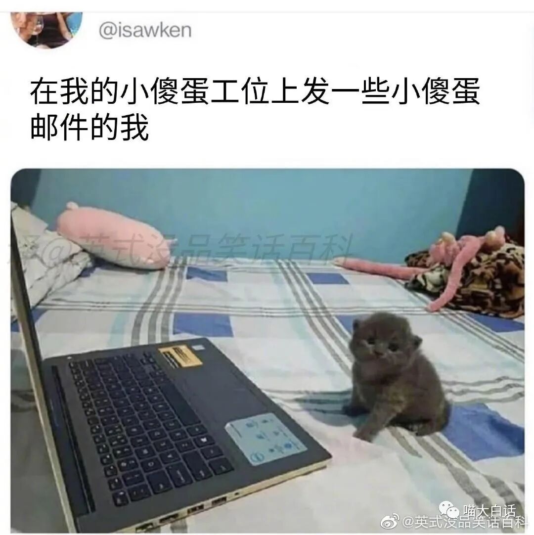 【爆笑】“网友为了嗑cp能有多离谱？？”哈哈哈哈哈哈哈活雷锋了属实是！（组图） - 49