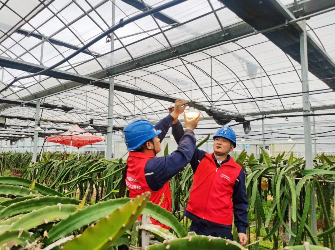 电力典型经验材料范文_典型电力优质经验服务案例_电力优质服务典型经验