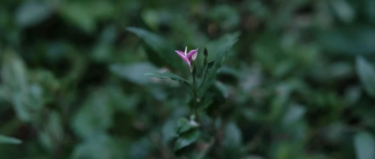 如何做到一心不乱