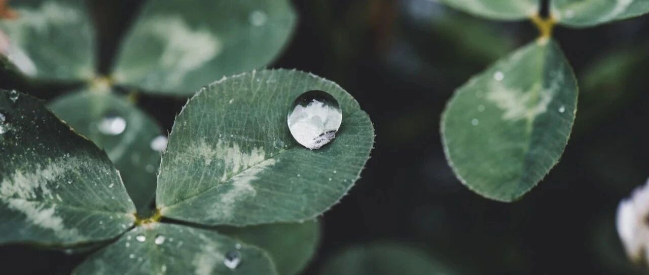 迷茫的时候应该怎么办