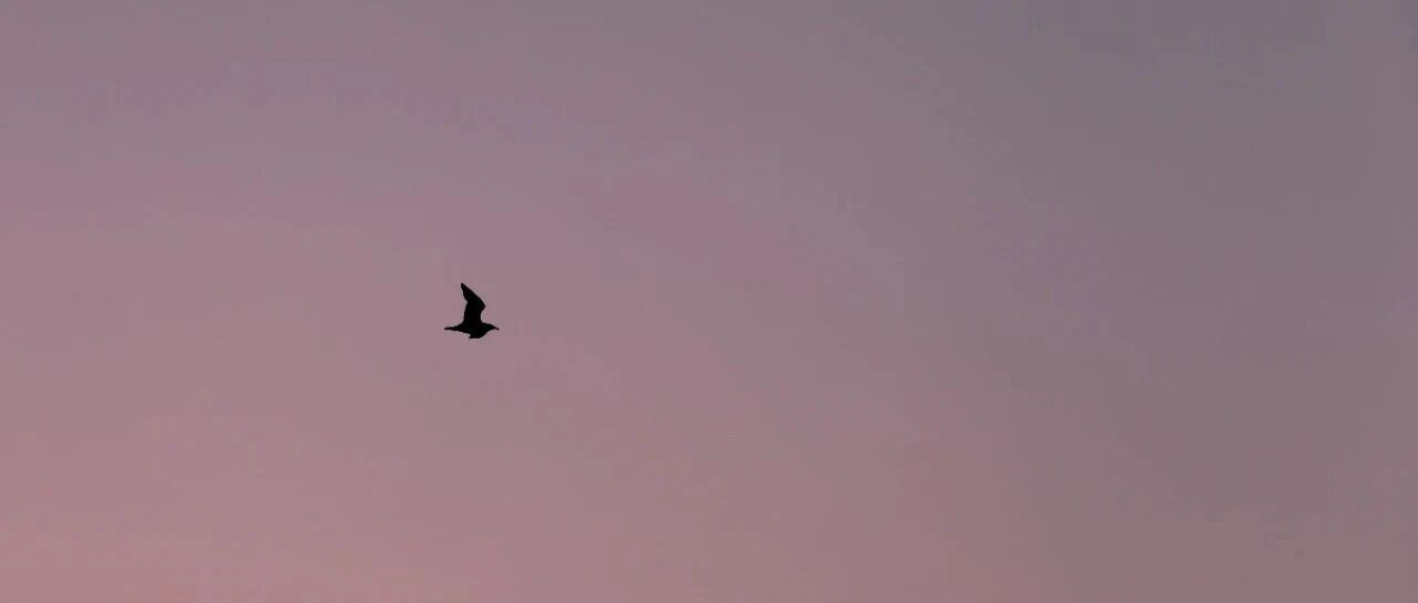 2月，我写了这十句话送给你